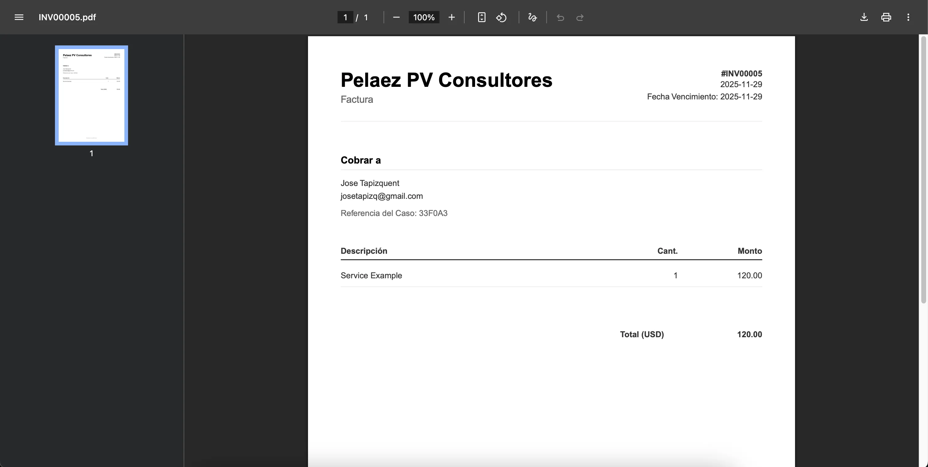Vista previa del PDF generado